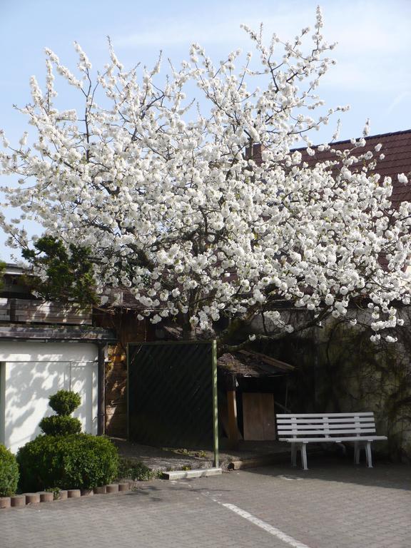 Hotel Am Birkenweg Erlangen Exterior photo